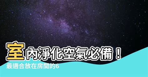 房間可以放公仔嗎|房間可放公仔嗎？